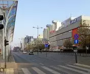 view from the 