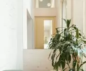 Dom w Domu, Podkowa Leśna