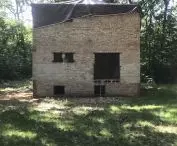 House in the House, Podkowa Leśna