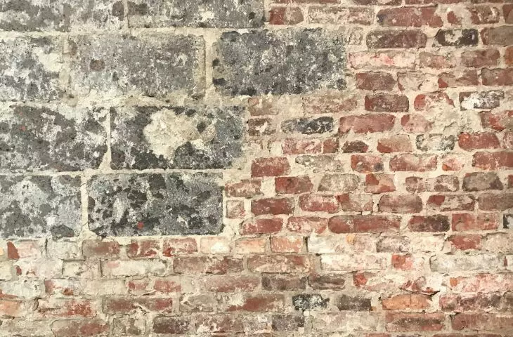 Dom w Domu, Podkowa Leśna