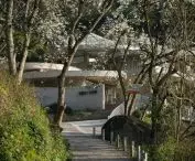 Buzzy Sunny Feixue Pavilion, Lihua