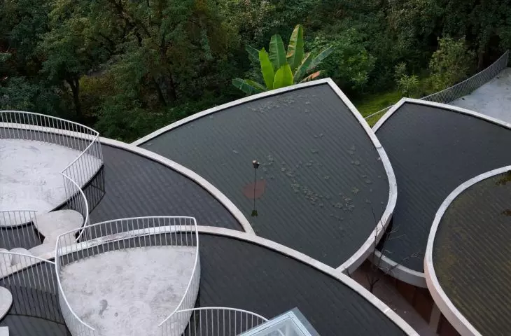 Buzzy Sunny Feixue Pavilion, Lihua