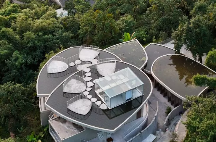 Buzzy Sunny Feixue Pavilion, Lihua