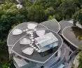 Buzzy Sunny Feixue Pavilion, Lihua