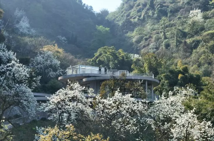 Buzzy Sunny Feixue Pavilion, Lihua