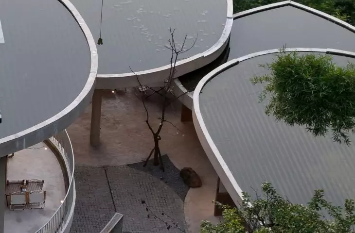 Buzzy Sunny Feixue Pavilion, Lihua