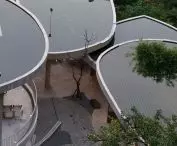 Buzzy Sunny Feixue Pavilion, Lihua