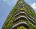 Address: Jardins, São Paulo