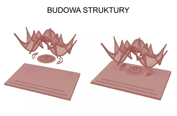 structure development