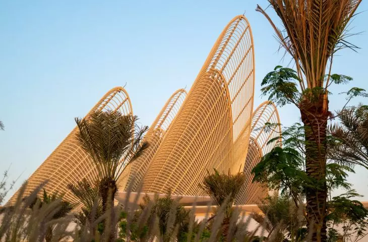 Zayed National Museum, Abu Zabi
