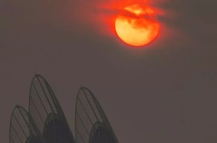 Zayed National Museum, Abu Zabi