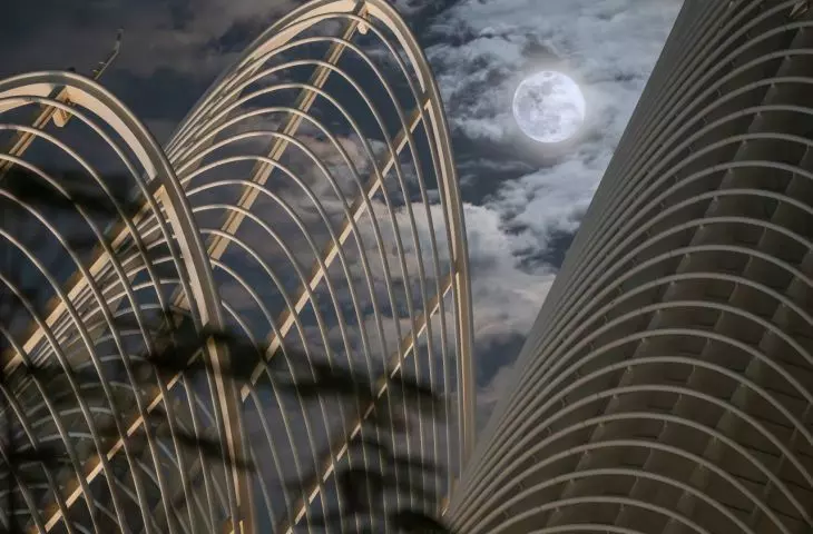 Zayed National Museum, Abu Zabi