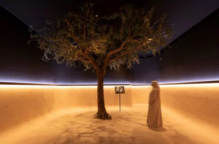 Zayed National Museum, Abu Zabi
