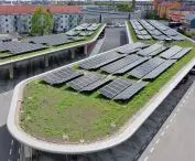 Bauder Green Roofs