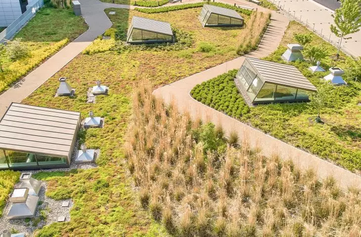 Bauder Green Roofs