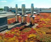 Bauder Green Roofs