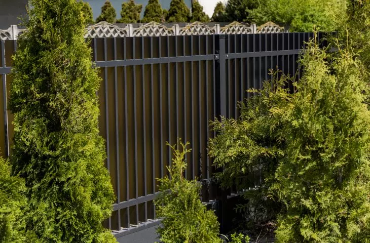 VERTICALE - novelty among palisade fences