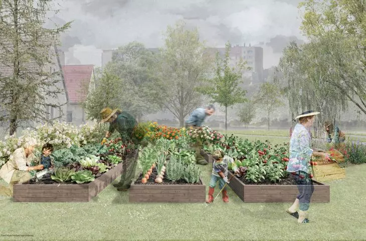 vegetable gardens