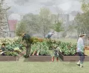 vegetable gardens
