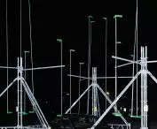 Forest Project: Installation for Lausanne Jardins, Lausanne, 2024