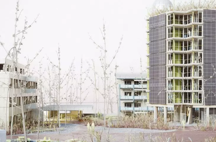 patrick star zagospodarowanie terenu Iwaz, Zurych-Wetzikon,  2025