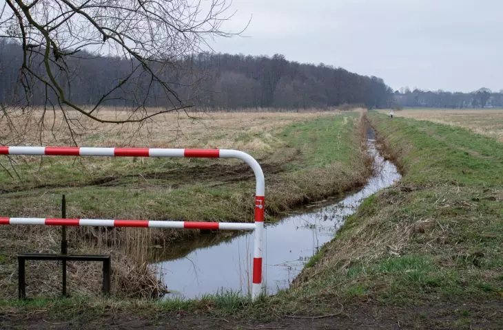 Łąki Oborskie, rów melioracyjny, w głębi z lewej strony rezerwat przyrody Łęgi Oborskie; widok z grobli w kierunku zachodnim