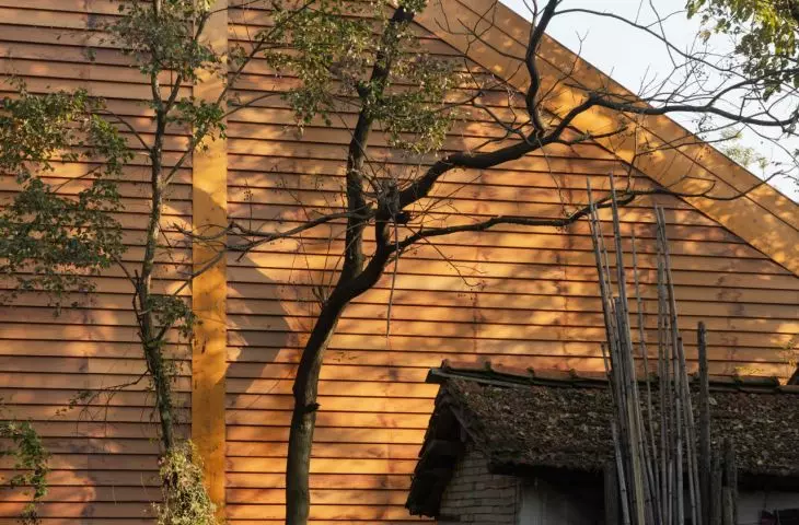 Carpenter's Home, Xinyang