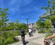 WaterFolderDay 2026, plac Nowy Targ
