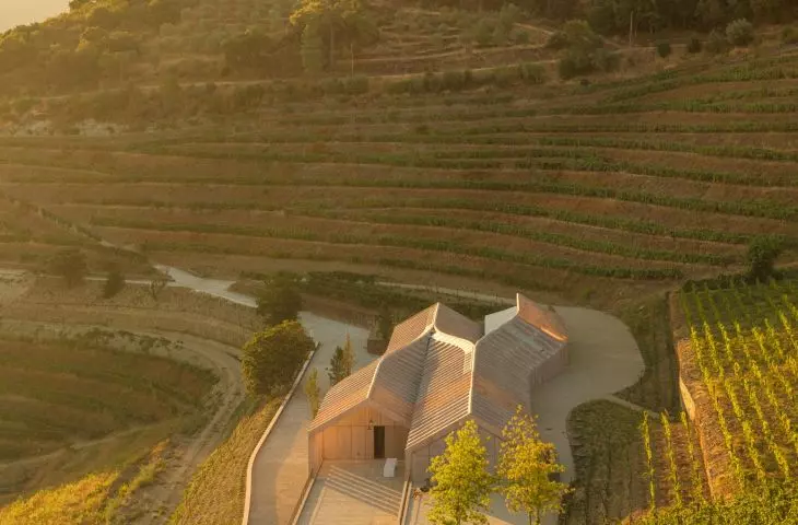 Quinta de Adorigo Winery in the Douro