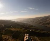 Quinta de Adorigo Winery in the Douro