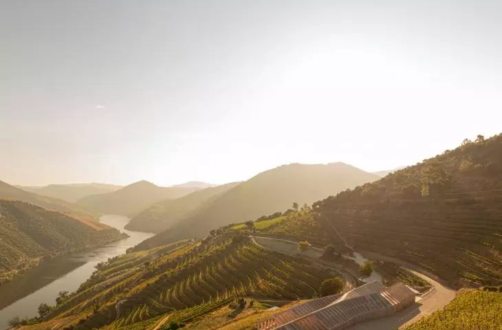 Quinta de Adorigo Winery in the Douro
