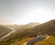 Quinta de Adorigo Winery w Douro