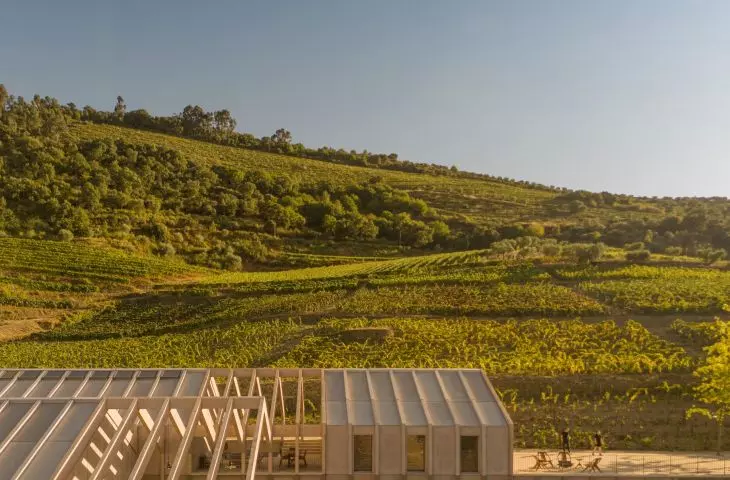 Quinta de Adorigo Winery in the Douro