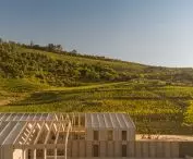 Quinta de Adorigo Winery w Douro