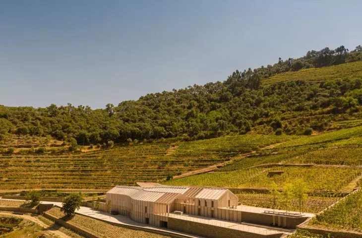 Quinta de Adorigo Winery w Douro