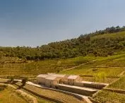 Quinta de Adorigo Winery in the Douro