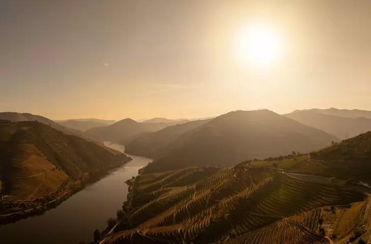 Quinta de Adorigo Winery in the Douro