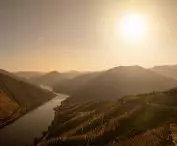 Quinta de Adorigo Winery in the Douro