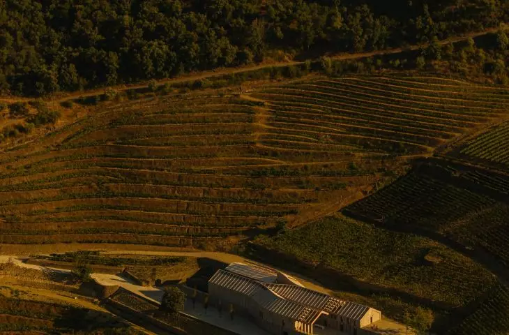 Quinta de Adorigo Winery in the Douro