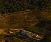 Quinta de Adorigo Winery in the Douro