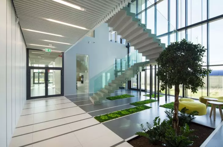 greenery penetrating inside the building