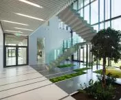 greenery penetrating inside the building