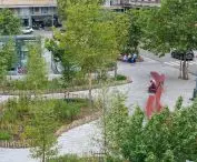 Zazielenienie placów Flagey i Sainte-Croix, Bruksela (Belgia)