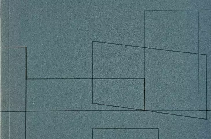 Irina Davidovici, *Forms of Practice: German-Swiss Architecture 1980–2000*; first edition (gta, 2012) and second, expanded edition (gta, 2018)