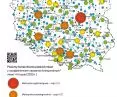 hierarchia funkcjonalna miast w Polsce z uwzględnieniem obszarów funkcjonalnych dla I–III rzędu