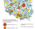 the functional hierarchy of cities, taking into account first-, second-, and third-order functional areas, and medium-sized cities that are losing their socioeconomic functions 