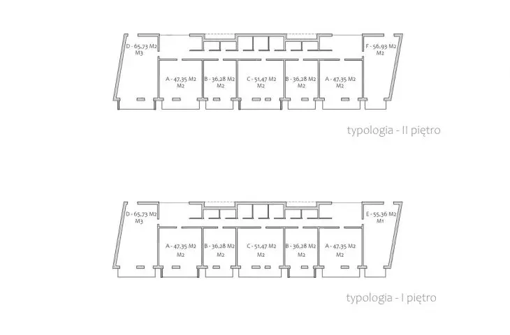 typology