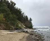 near orlovsk cliff, architects proposed platform made of plastic bottles