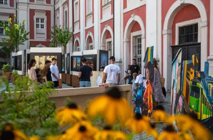 Festiwal Murali 2025