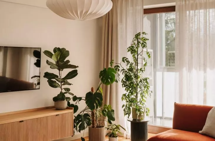 This Wrocław apartment, designed by Buduar, combines art, vintage furniture, and warm, bold colors